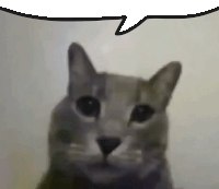 a close up of a cat with a speech bubble behind it