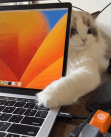 a cat 's paw is resting on a laptop that says goldlight