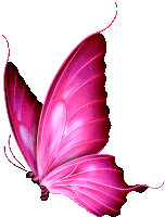 a pink butterfly with a white background is flying in the air