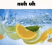 a blurred image of lemons and limes in a glass of water with ice .