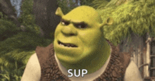 shrek from shrek is making a funny face and says `` sup '' .