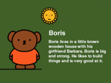 a picture of a teddy bear named boris with a sun behind him