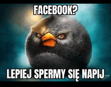 a picture of an angry bird with the words facebook written on it