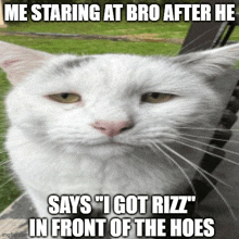 a white cat with a caption that says " me staring at bro after he says i got rizz in front of the hoes "