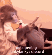 a monkey is sitting on a couch reading a book with the words me opening jankylankys discord above it