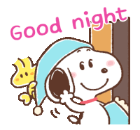 a cartoon of snoopy saying good night while wearing a sleep cap