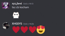 a screenshot of a chat with xyz levi and xhgsys