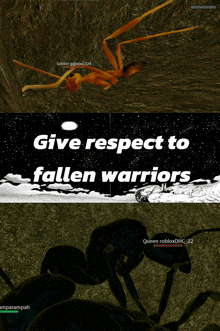 a poster that says " give respect to fallen warriors " on it