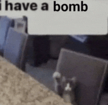 a cat is standing in a room with a sign that says `` i have a bomb '' behind it .