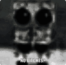 a black and white image of a skeleton with the words no bitches written below it