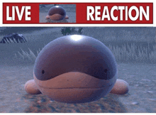 a picture of a whale with the words live reaction on it