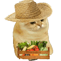 a cat wearing a straw hat is holding a wooden crate of vegetables