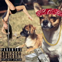 a parental advisory explicit lyrics album cover with a dog