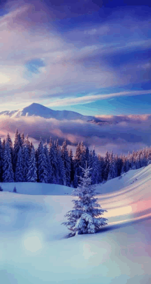 a snowy landscape with trees covered in snow and mountains in the background