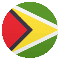 Guyana Flags Sticker