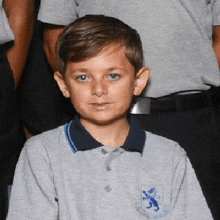 a young boy wearing a grey shirt with a blue lion on the shoulder