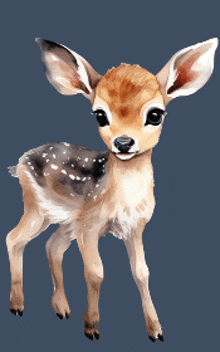 a baby deer is standing on a blue background