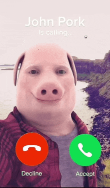 a man with a pig face is on a phone with john pork calling