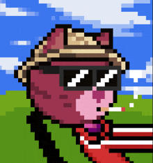 a pixel art drawing of a cat wearing sunglasses and a straw hat