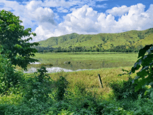 a lush green field with mountains in the background and a fence in the foreground