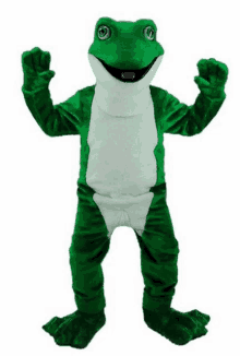 a green and white frog mascot costume with its arms outstretched .