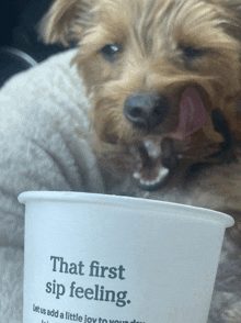 a dog is licking a cup that says " that first sip feeling "