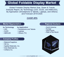 a flyer for the global foldable display market with a butterfly on it