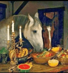 a horse is eating fruit from a bowl on a table .