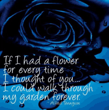 if i had a flower for every time i thought of you ... i could walk through my garden forever alfred tennyson