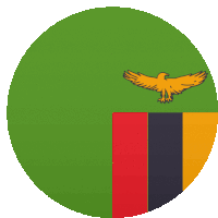 a green circle with a red yellow and black stripe and an eagle on top