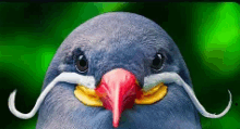 a close up of a bird with a moustache on its face