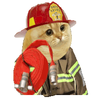 a cat wearing a fireman 's hat holds a hose