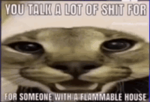 a cat with a caption that says you talk a lot of shit for someone with a flammable house