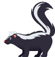 a black and white skunk with a long tail standing on a white background