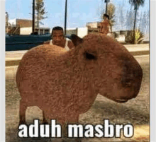 a capybara is standing on the side of the road next to a man in a tank top .