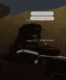 a screenshot of a video game that says biggoose on the bottom