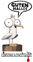 a cartoon of a seagull with a speech bubble saying guten hallo