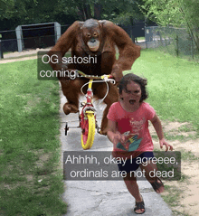 a little girl is being pulled by an orangutan on a bike and the caption says og satoshi coming