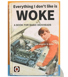 a book for basic dickheads titled woke