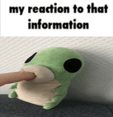 a stuffed animal with the words my reaction to that information on the bottom