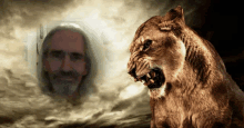 a man with a beard is behind a lion