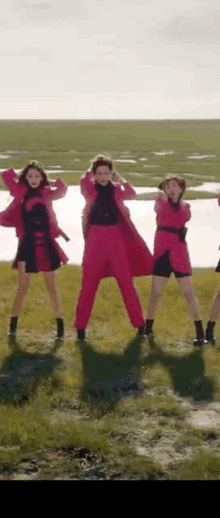 a group of women in pink clothes are standing in a grassy field .