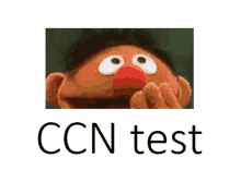 a picture of ernie from sesame street with the words ccn test written below it .