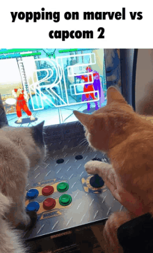 two cats are playing a video game with a caption that says yopping on marvel vs capcom 2