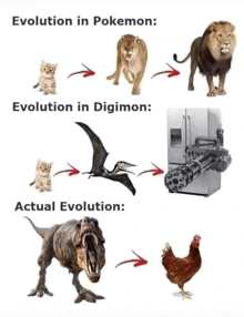 evolution in pokemon and evolution in digimon are shown