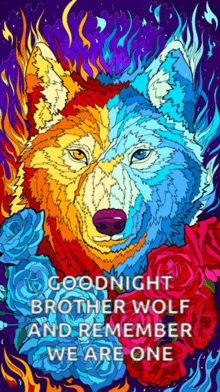 a colorful drawing of a wolf with the words goodnight brother wolf and remember we are one below it