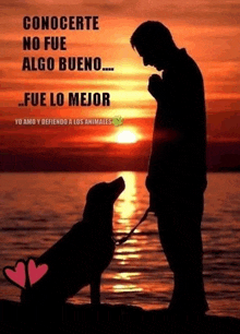 a man standing next to a dog with the words " fue lo mejor " written on the bottom