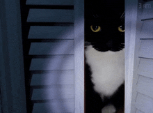 a black and white cat peeking out of a doorway with the time of 3 am