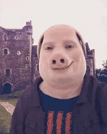 a man wearing a pig mask is standing in front of a castle .