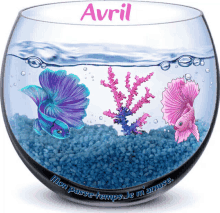 a fish bowl with purple and pink fish and the word avril on it